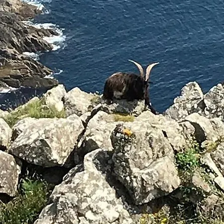 Stella Maris Views Apartament *