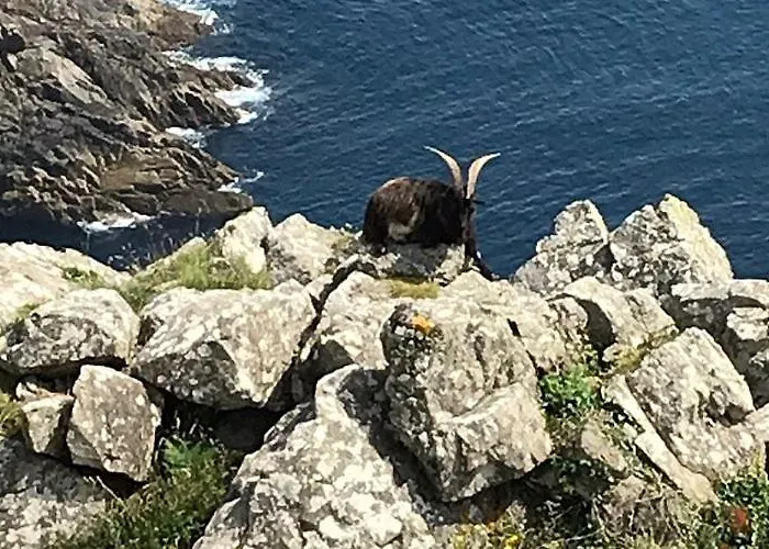 Stella Maris Views Lägenhet *